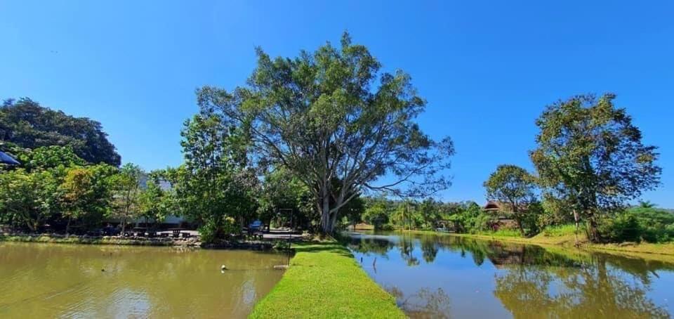 Homdoiintr Farmstay ฮ่อมดอยอินทร์ ฟาร์มสเตย์ Ban Huai Kaeo المظهر الخارجي الصورة