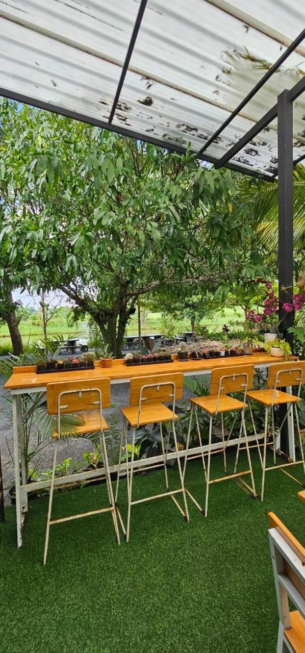 Homdoiintr Farmstay ฮ่อมดอยอินทร์ ฟาร์มสเตย์ Ban Huai Kaeo المظهر الخارجي الصورة