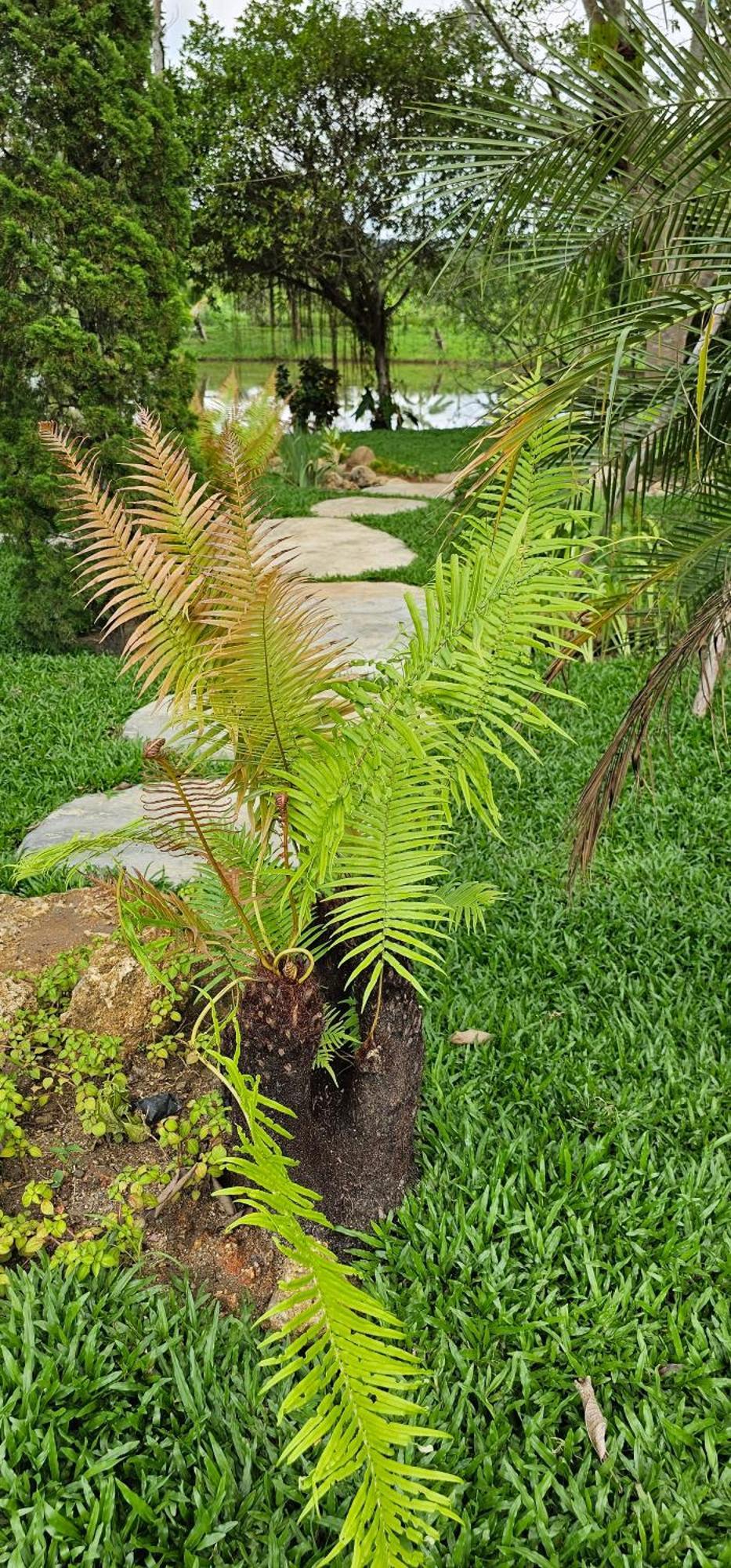 Homdoiintr Farmstay ฮ่อมดอยอินทร์ ฟาร์มสเตย์ Ban Huai Kaeo المظهر الخارجي الصورة