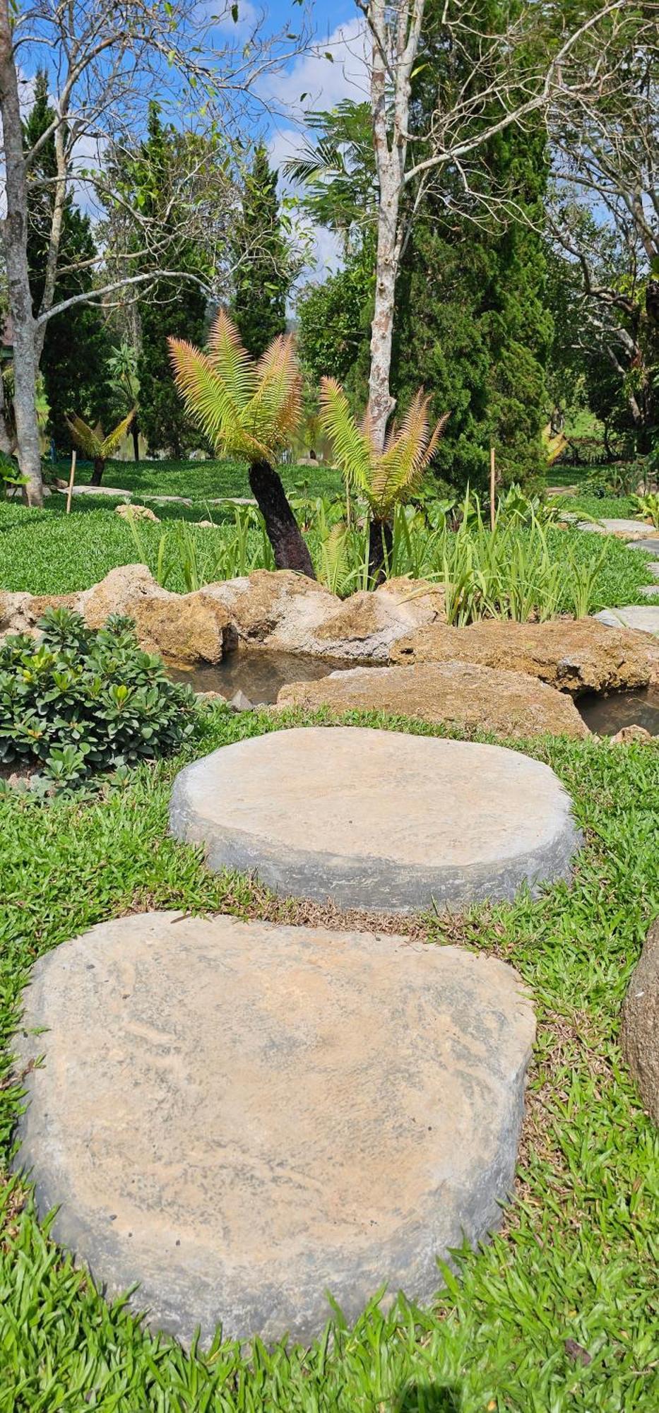 Homdoiintr Farmstay ฮ่อมดอยอินทร์ ฟาร์มสเตย์ Ban Huai Kaeo المظهر الخارجي الصورة