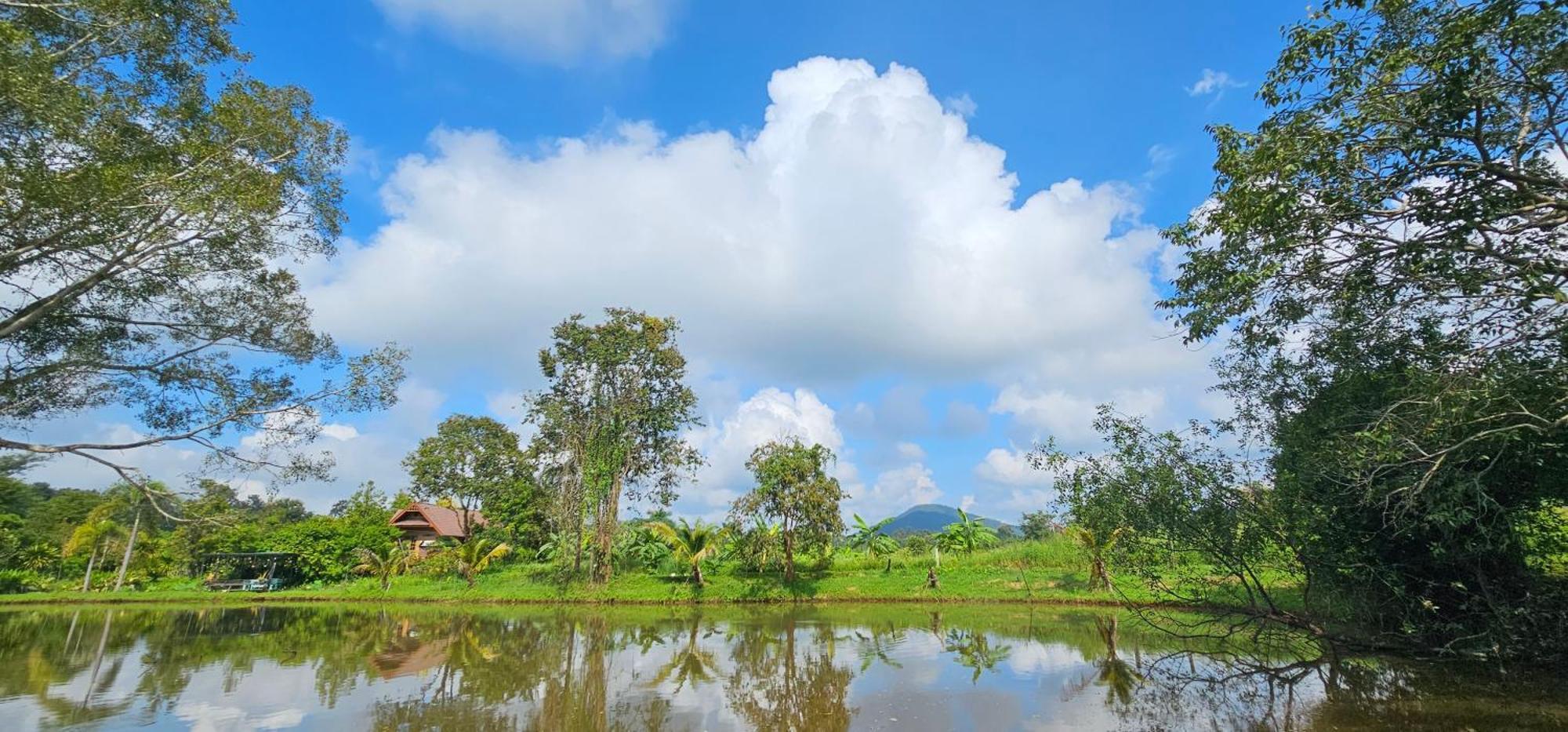 Homdoiintr Farmstay ฮ่อมดอยอินทร์ ฟาร์มสเตย์ Ban Huai Kaeo المظهر الخارجي الصورة