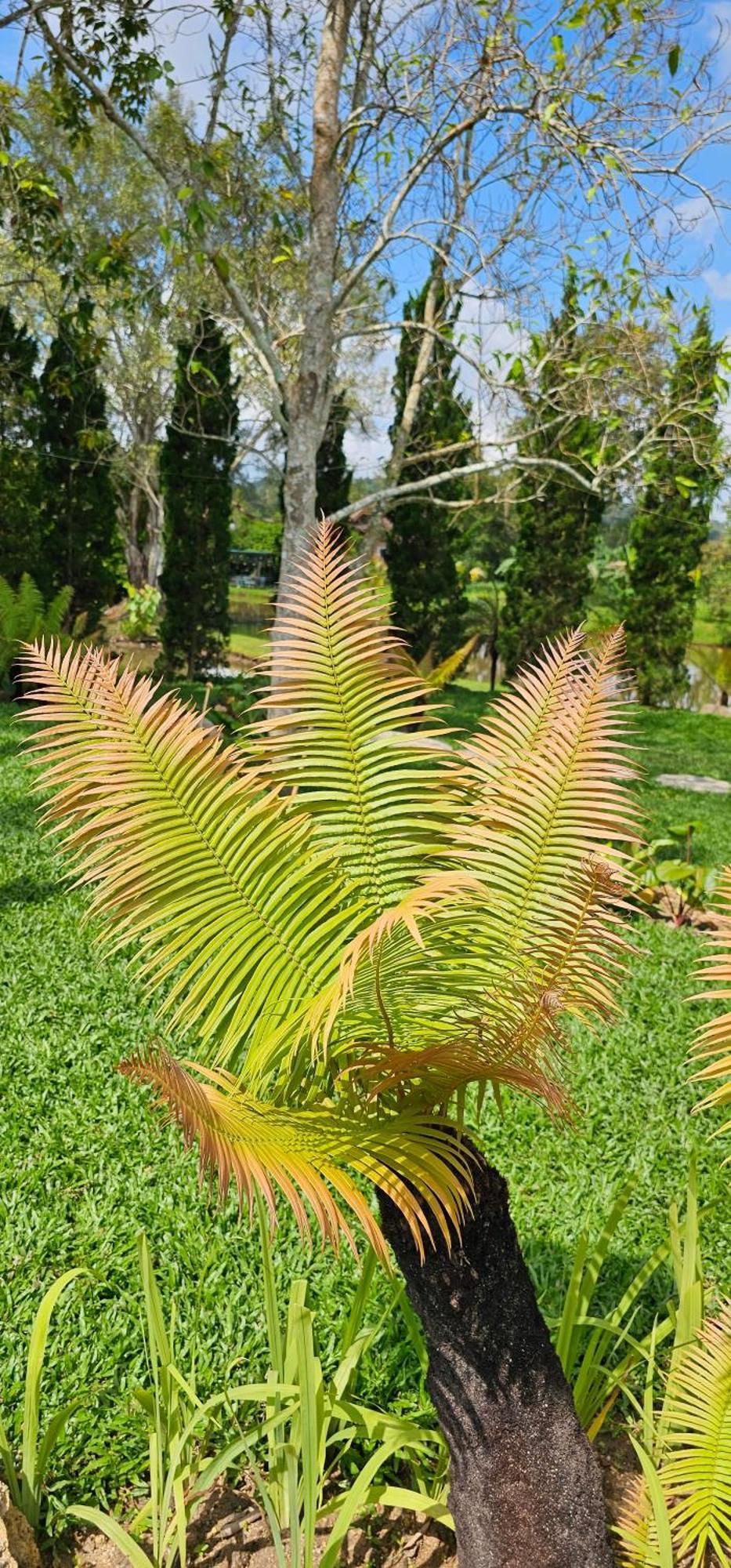 Homdoiintr Farmstay ฮ่อมดอยอินทร์ ฟาร์มสเตย์ Ban Huai Kaeo المظهر الخارجي الصورة