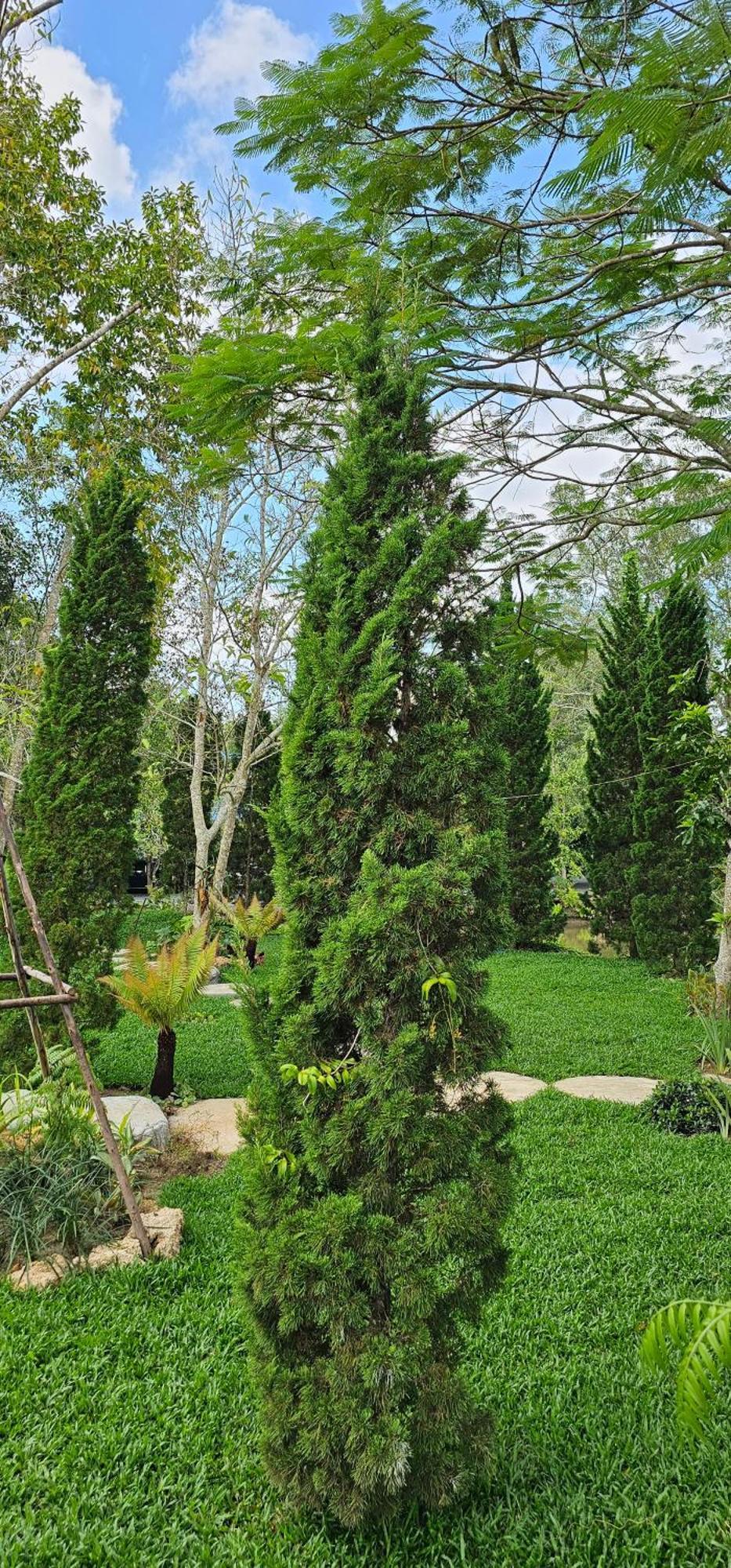 Homdoiintr Farmstay ฮ่อมดอยอินทร์ ฟาร์มสเตย์ Ban Huai Kaeo المظهر الخارجي الصورة