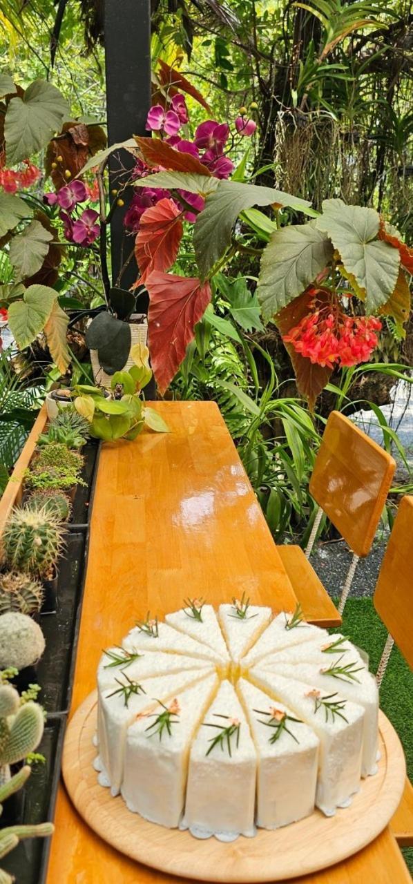 Homdoiintr Farmstay ฮ่อมดอยอินทร์ ฟาร์มสเตย์ Ban Huai Kaeo المظهر الخارجي الصورة